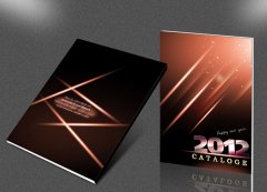 宣傳冊(cè)印刷樣式三